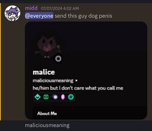 Midd harasses a random furfag.jpeg