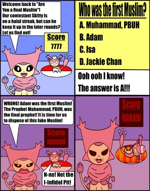 Are You a Real Muslim.png