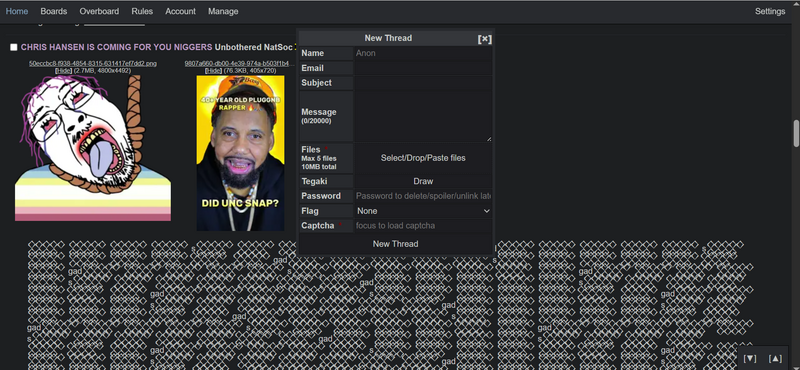 File:Screenshot of a 67chan raid.png