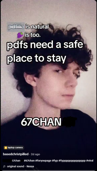 File:Image of a tiktok user promoting 67chan.png