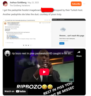 Goldberg Takes Down the Jassys Main Domain.png