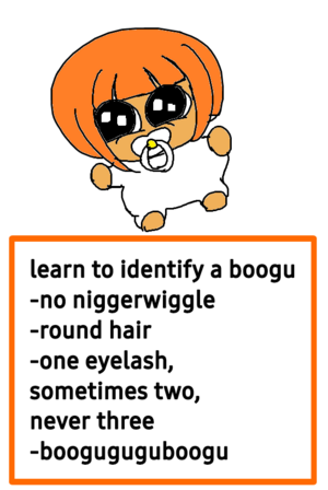 Boogu infographic.png