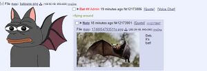 Bat3.jpg