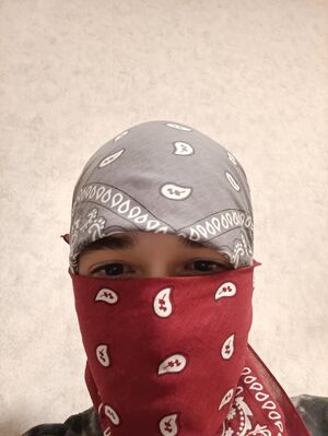 Odessan bvll face.jpg