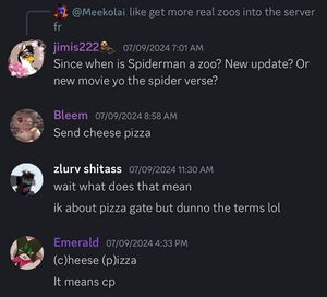 Bleem description.jpeg