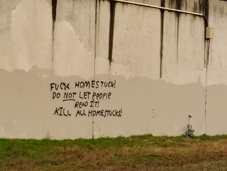 File:Kill all homestucks.jpg