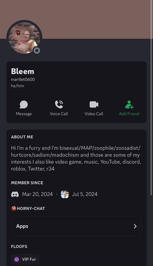 Bleem description cord.jpeg
