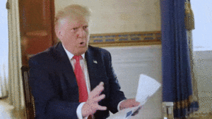 Trump on jannies.gif