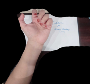 Cutebooru hand 2.png